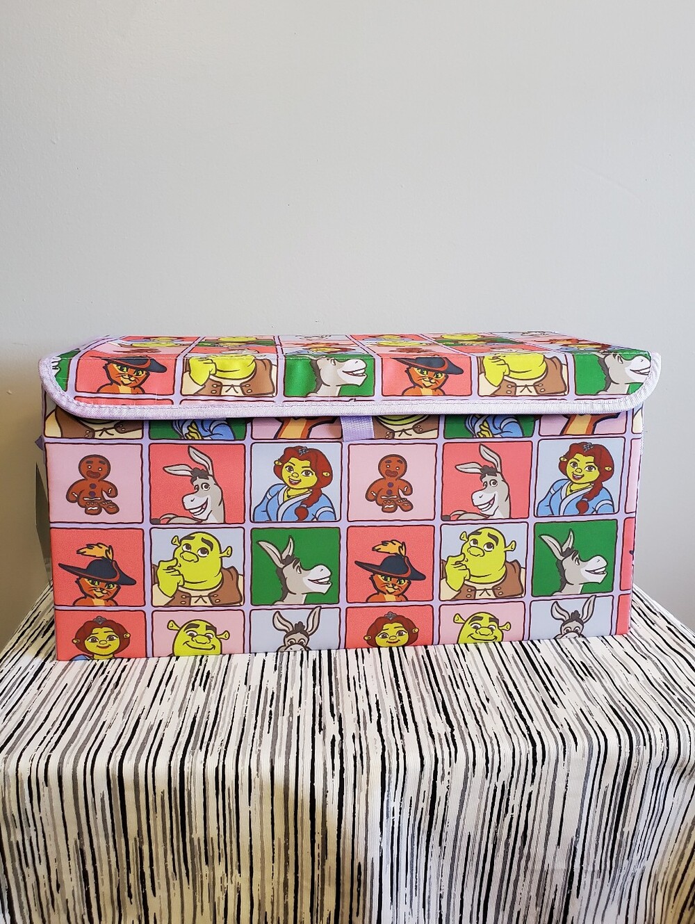 Shrek Oxford Storage Trunk 20in x 10in x 10in
